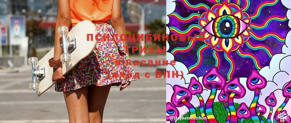 apvp Карпинск
