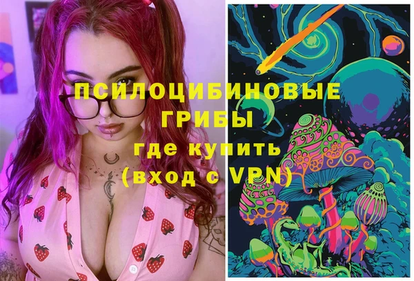 apvp Карпинск