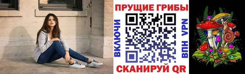 Купить закладки  Лиски  Псилоцибиновые грибы Psilocybe 